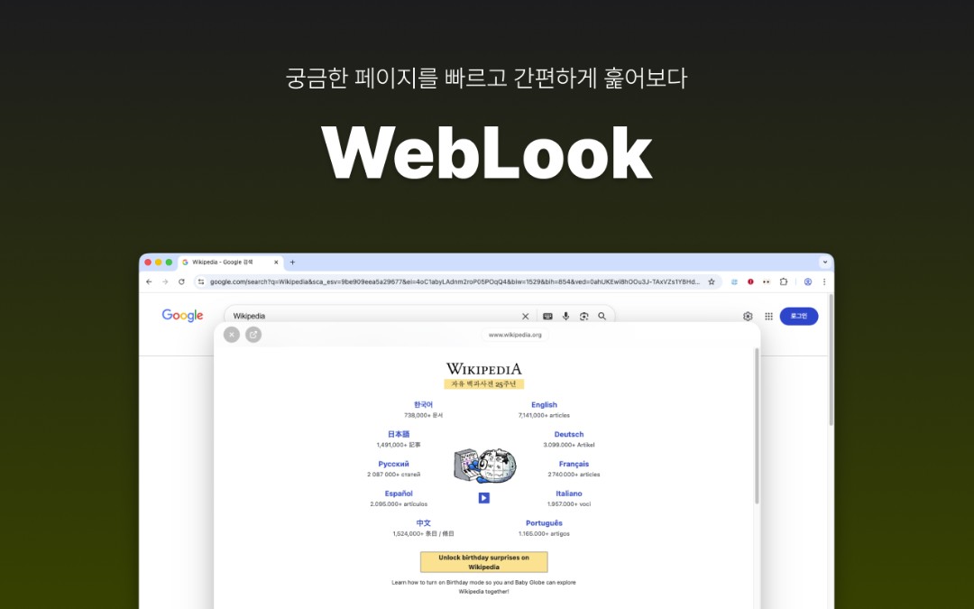 WebLook 이미지 1
